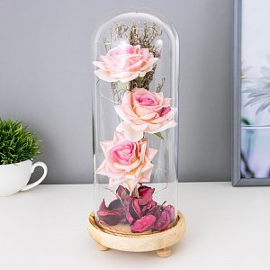 ночник "три розы! led 3aaa 10х10х25 см   7428561 7428561