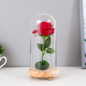ночник "колба с алой розой" led от батареек 3ааа 19,5х9,5х9,5 см 3000284 3000284