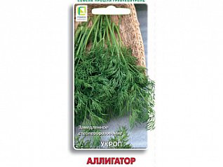 укроп аллигатор  (цв) 2гр 560234 см5990